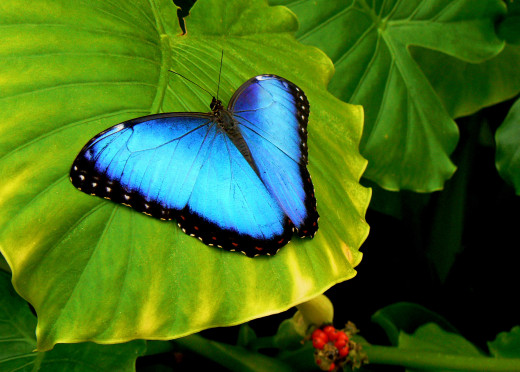 619873 (a): :2588x1850